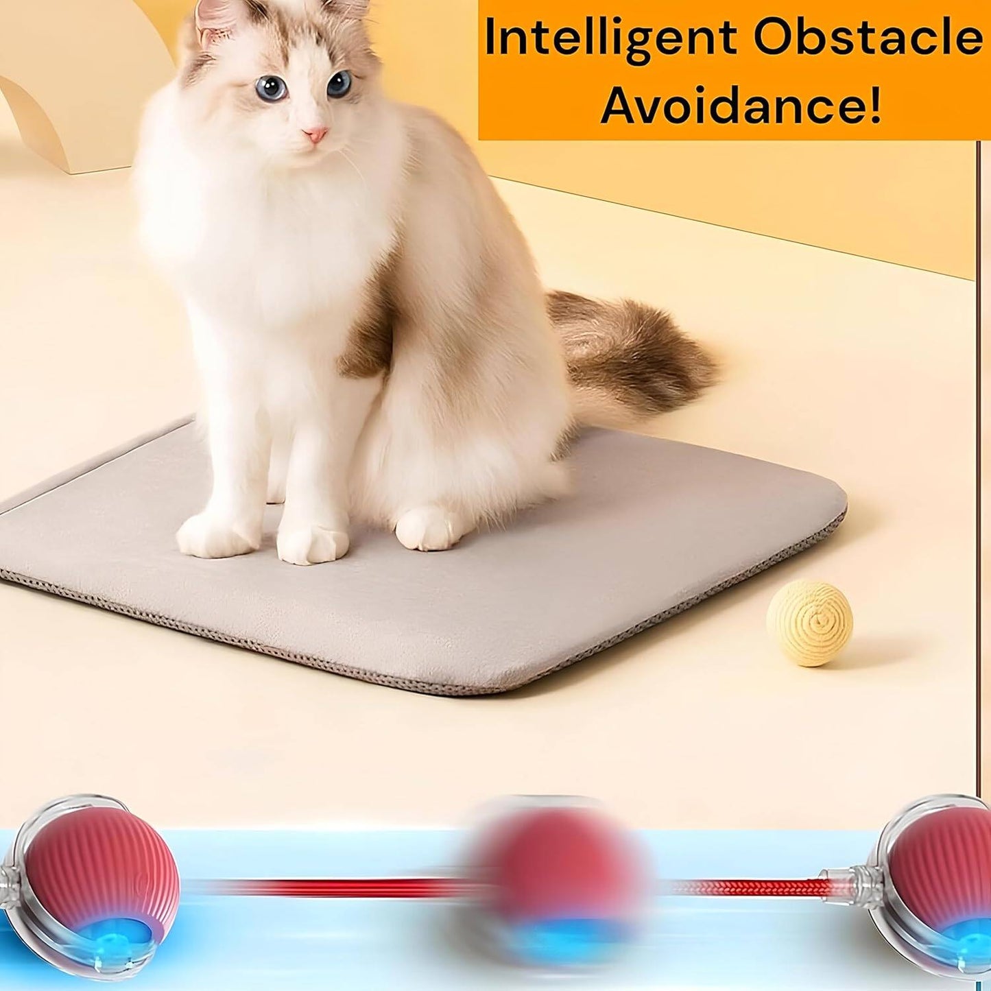 2025 Durable Interactive Cat Toys for Indoor Cats