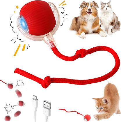 2025 Durable Interactive Cat Toys for Indoor Cats