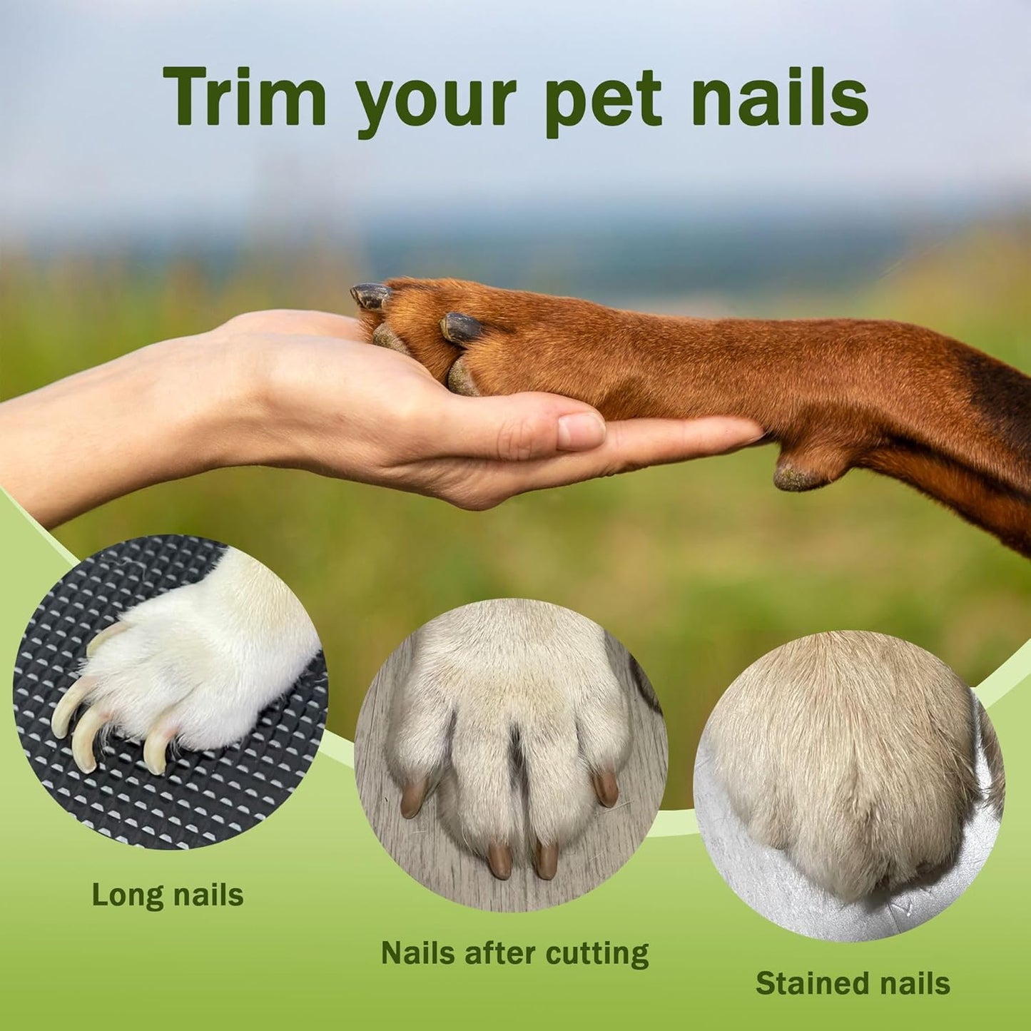 2-in-1 pet Nail Clipper