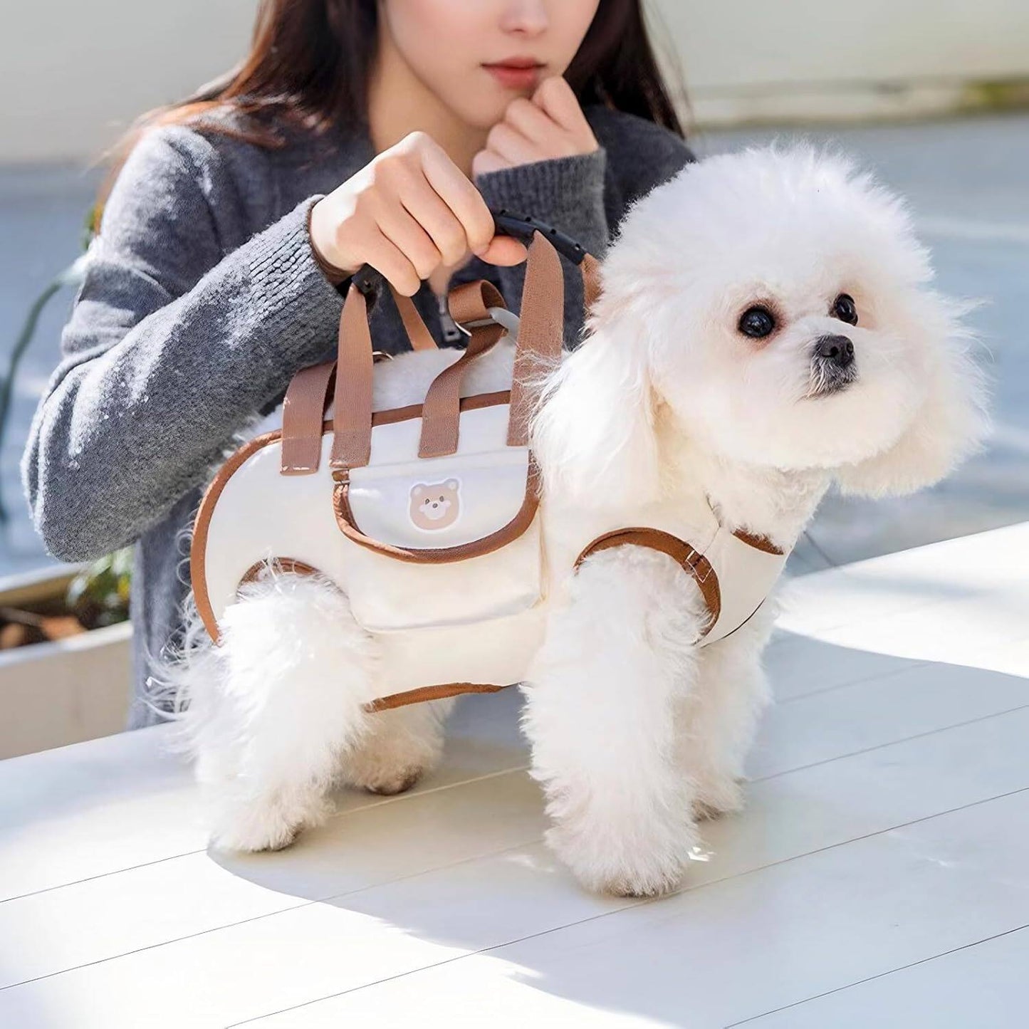 Pet carrier shoulder bag