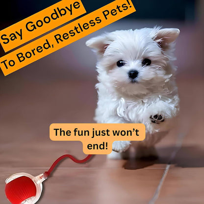 2025 Durable Interactive Cat Toys for Indoor Cats